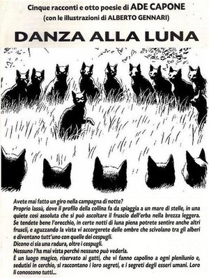 cover image of Danza alla luna